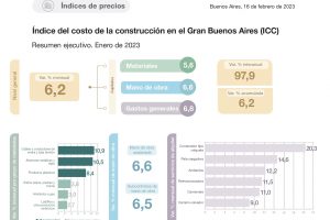 precio del ladrillo comun febrero 2023